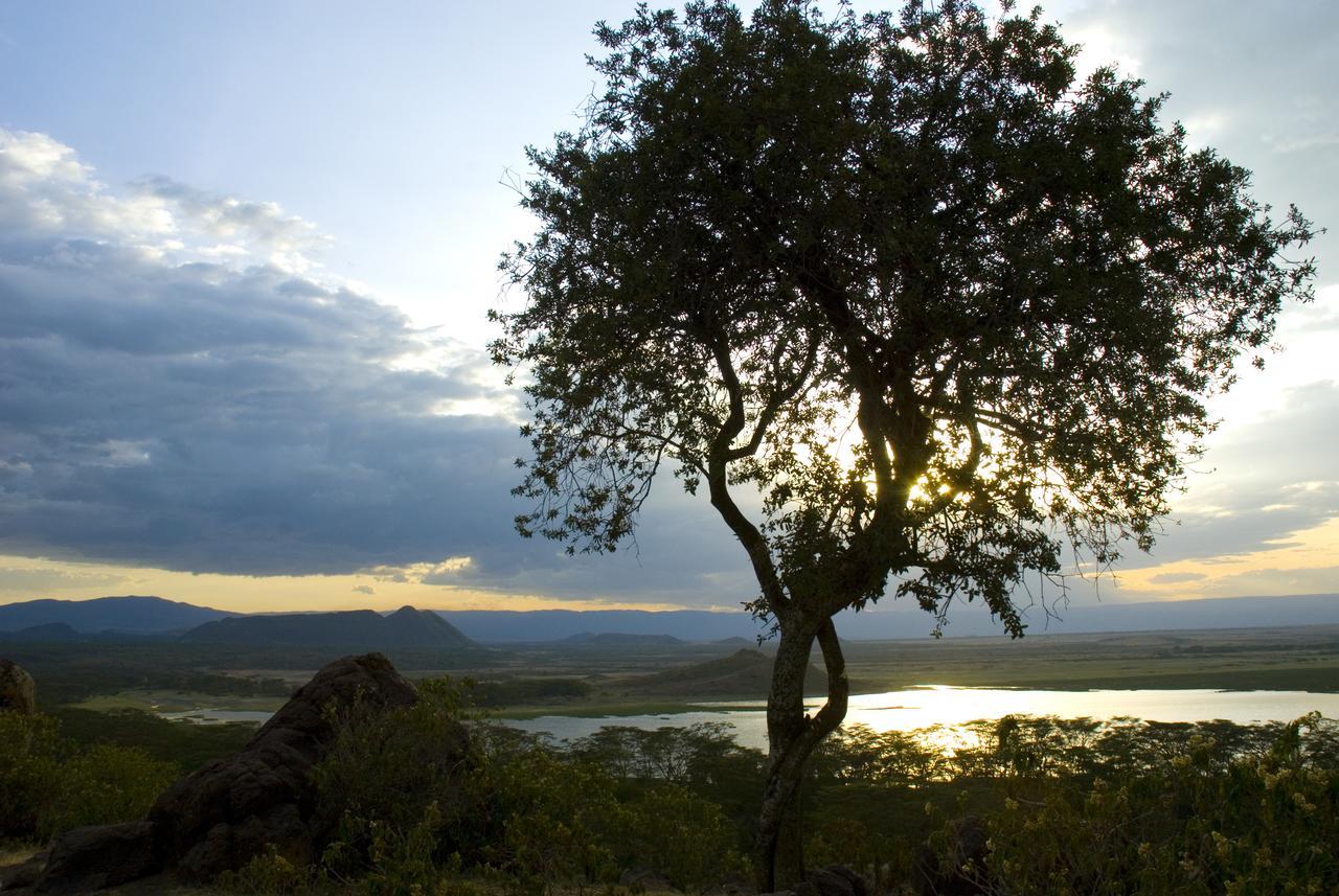 Jacaranda Lake Elementaita Lodge Gilgil Extérieur photo
