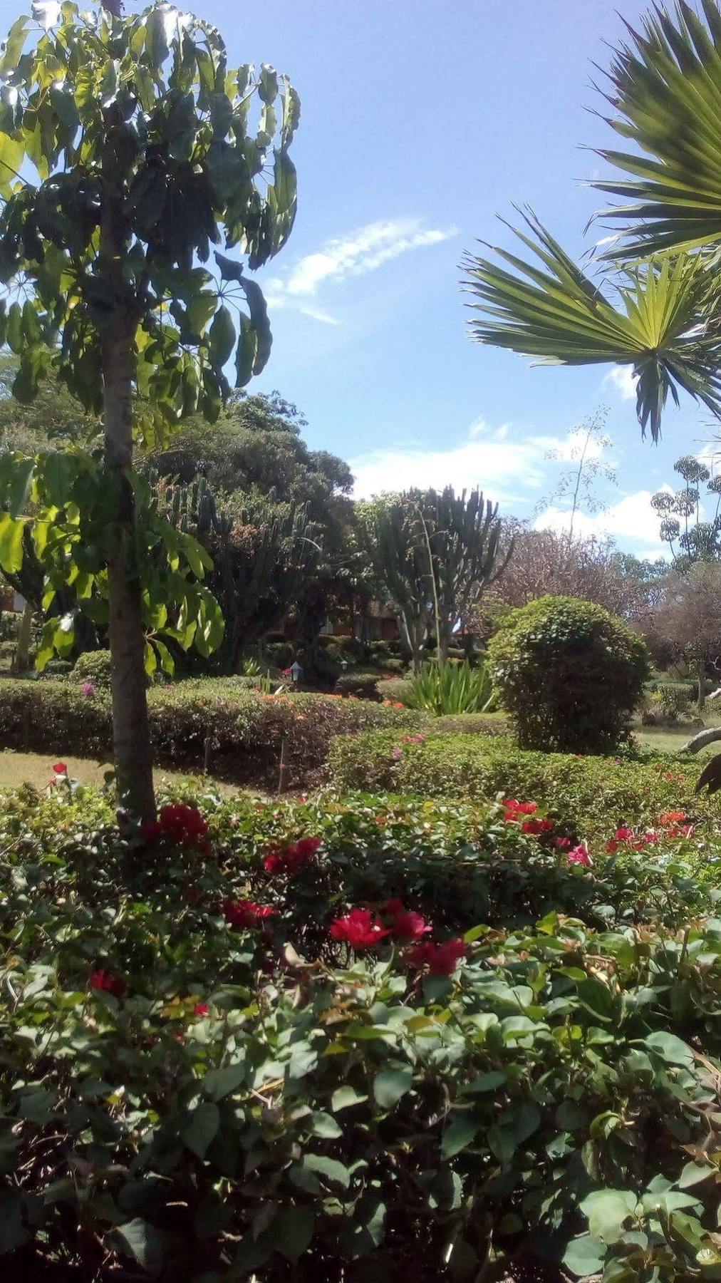 Jacaranda Lake Elementaita Lodge Gilgil Extérieur photo
